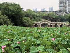 -金山公园