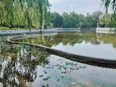 -丰台科技园生态主题公园