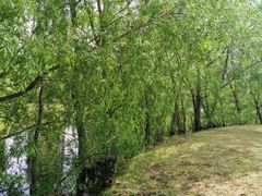 -长白岛森林公园