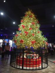 -幻贝家儿童乐园(温州银泰城店)