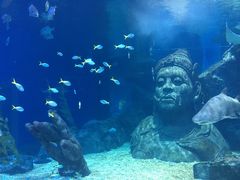 -暹罗海洋世界