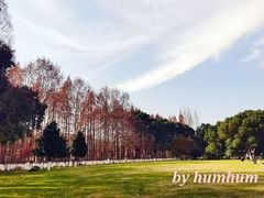 -范蠡湖公园