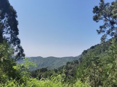 -北京上方山国家森林公园