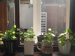 -铃木食堂(帽儿胡同店)