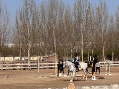 -北京群众马术培训基地
