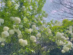 -杭州半山国家森林公园