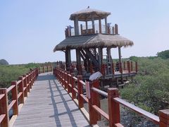 -北海金海湾红树林生态旅游区