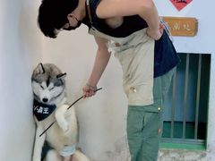 -Husky Go! 哈士奇体验馆·宠物咖啡厅狗咖