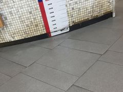 -联合动物医院(光谷诊疗中心)