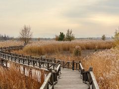 -野鸭湖国家湿地公园