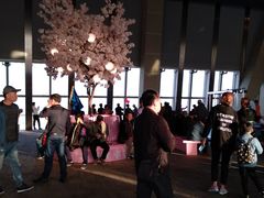 -上海环球金融中心云端足球盛典