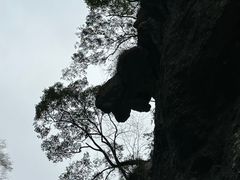 -蝶舞清江·恩施地心谷景区