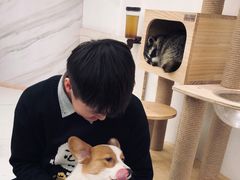 -浣熊柯尔鸭土拨鼠·电玩咖