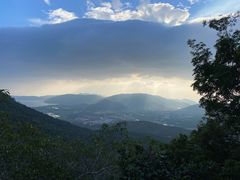 -三亚亚龙湾人间天堂鸟巢度假村