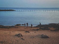 -青岛第二海水浴场