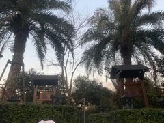 -苏州湾·王焰温泉