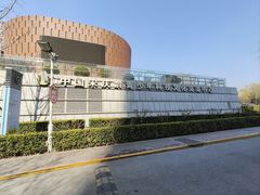 -中国宋庆龄青少年科技文化交流中心