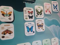 -惠州西湖风景名胜区-丰渚园