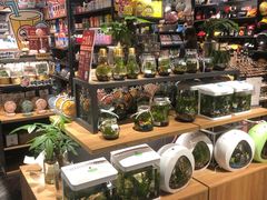 -酷乐潮玩(城西银泰城店)
