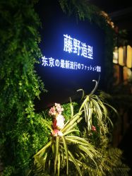 点击看大图 -藤野造型
