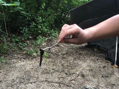 -碓臼峪自然风景区