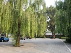 -圆明园停车场