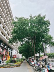 -余笙是你婚礼策划(创意谷店)