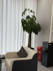 -苗医生0感祛痘连锁