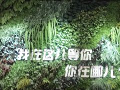 -奥斯卡升龙国际影城(RealD Cinema)