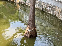 -人民公园(罗湖区)