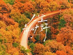 -少华山国家森林公园