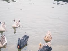 -两江国际影视城