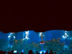 -芜湖新华联大白鲸海洋公园