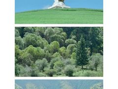 -兰州吐鲁沟国家森林公园