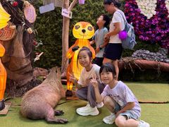 -正佳雨林生态植物园