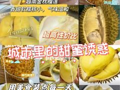 -大剧院(地铁站)