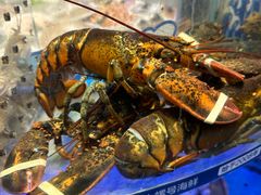 -小螺号海鲜·地道鲁菜(泉城广场店)