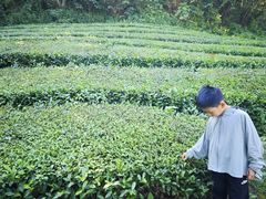-敬亭山风景名胜区