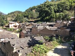 -杨家堂村