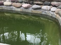 -花水湾第一村温泉大酒店