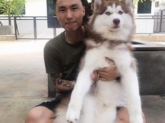 -TrueLove @ Neverland (Husky Cafe)
