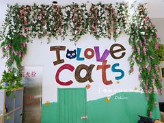 -藏猫猫咖啡主题馆(中央大道店)