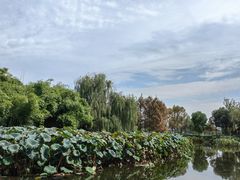 -金银湖国家城市湿地公园