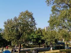 -飞来湖湿地公园