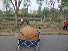 -东郊湿地公园