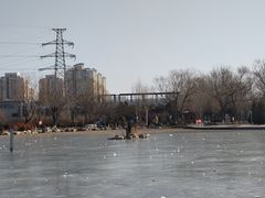 -太阳宫公园