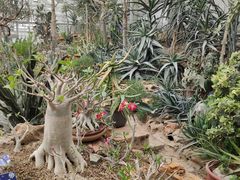 -国家植物园南园