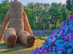 -阳澄湖半岛旅游度假区