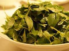 凉拌荆芥-金狮麟·新豫菜(金码大厦店)