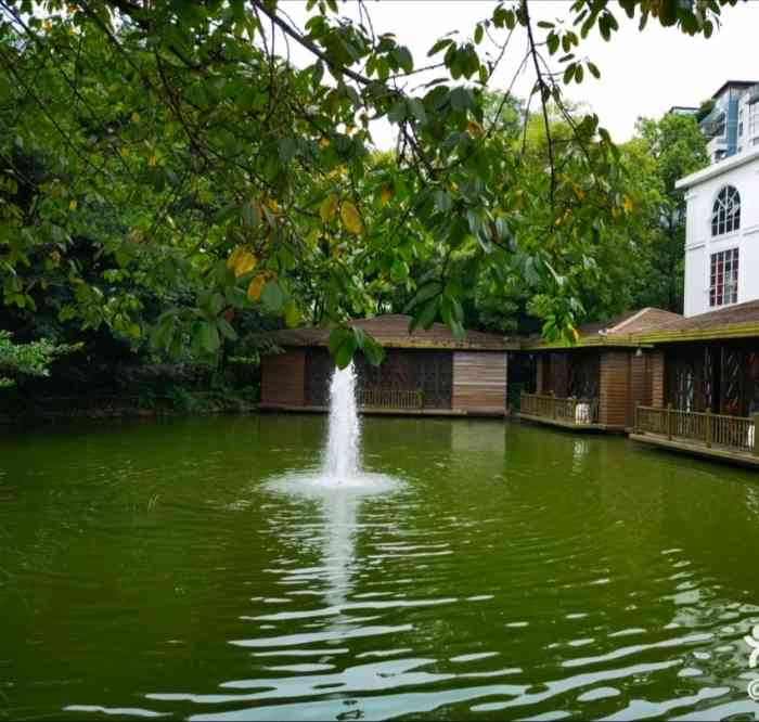 天鹅湖半岛餐厅-"家门口的餐厅,每天在天鹅湖公园里走过去走.